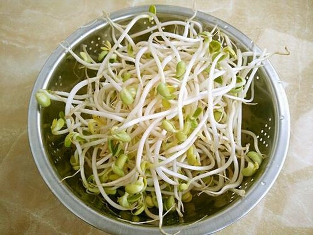 【黄豆芽炒粉条】步骤2