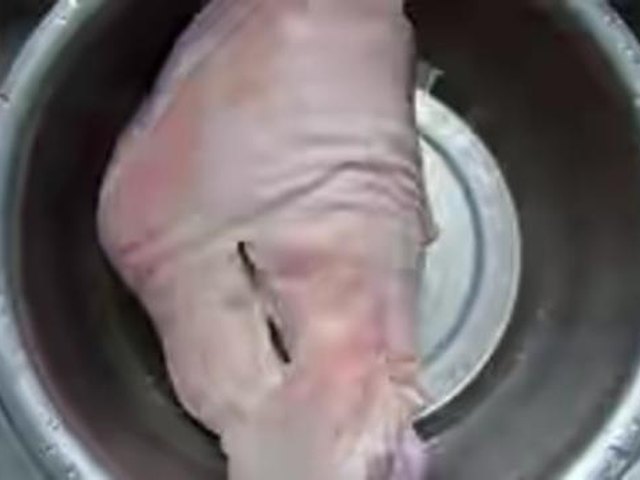 【秘制酱肘子】步骤1