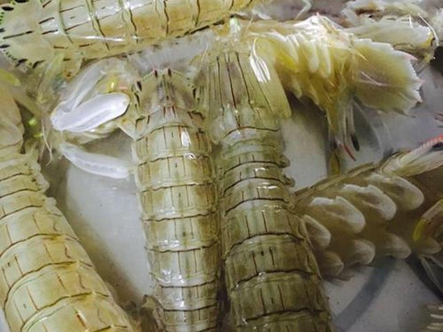 【椒盐皮皮虾（虾爬子）】步骤1