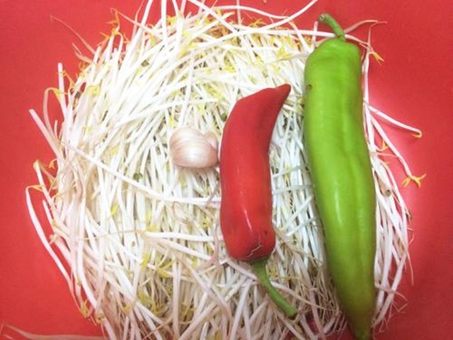 【素炒绿豆芽】步骤1