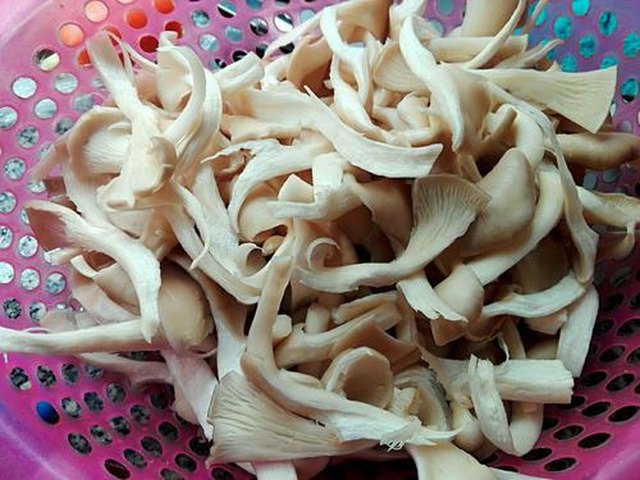 【袖珍菇白豆腐汤】步骤4