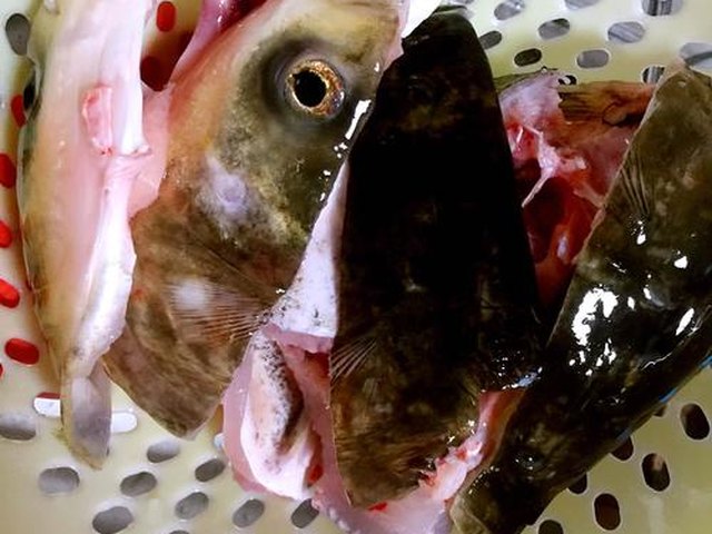 【鱼头豆腐汤】步骤1