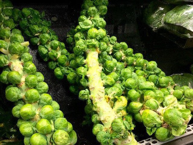 【素炒球芽甘蓝】步骤1