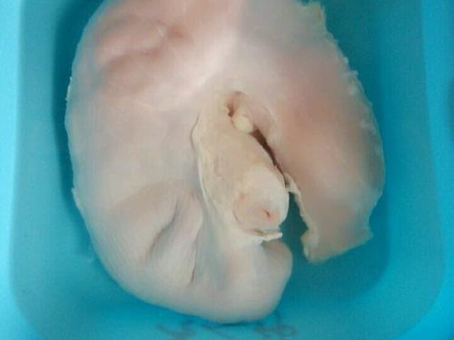 【养生猪肚汤】步骤1