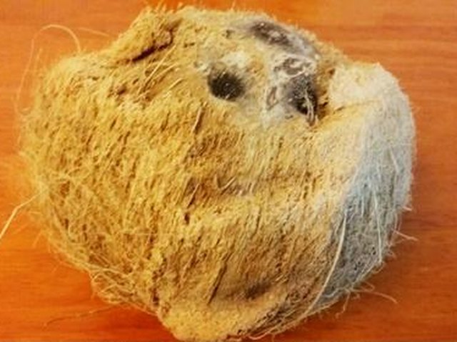 【排骨椰子鸡】步骤1