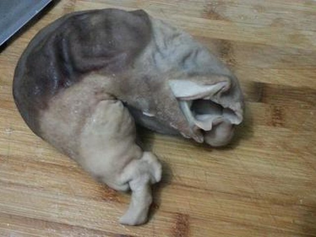 【猪肚姜蛋汤】步骤3