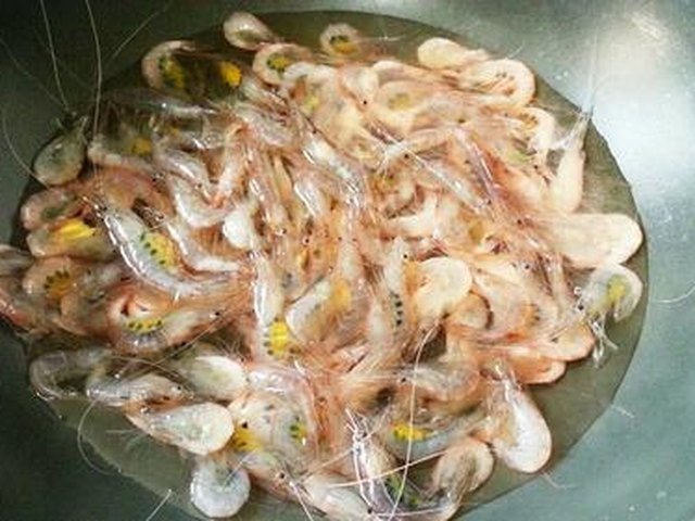 【白灼小米虾】步骤4