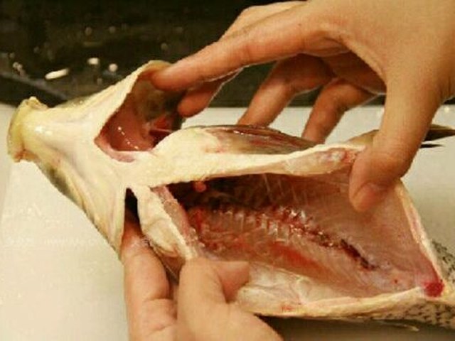 【糖醋鱼】步骤1