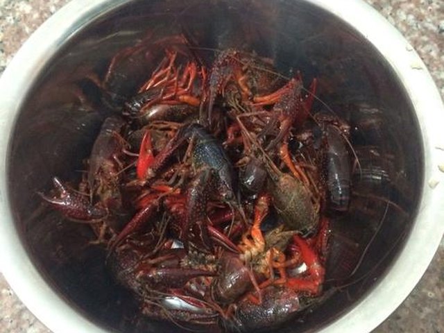 【川味小龙虾】步骤2
