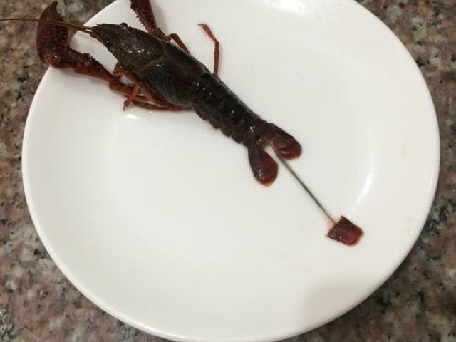 【川味小龙虾】步骤3