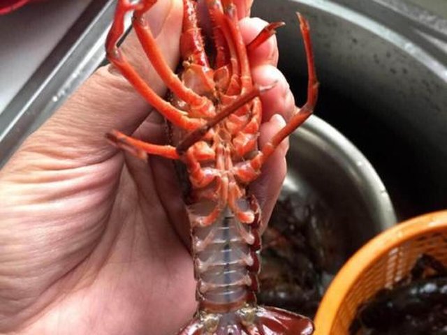 【啤酒龙虾】步骤2