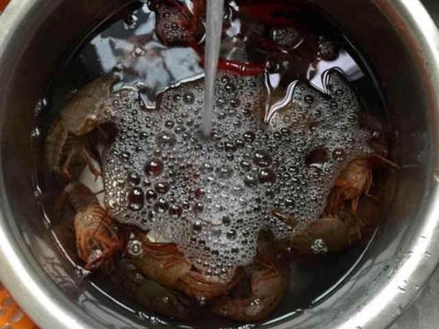 【啤酒龙虾】步骤4