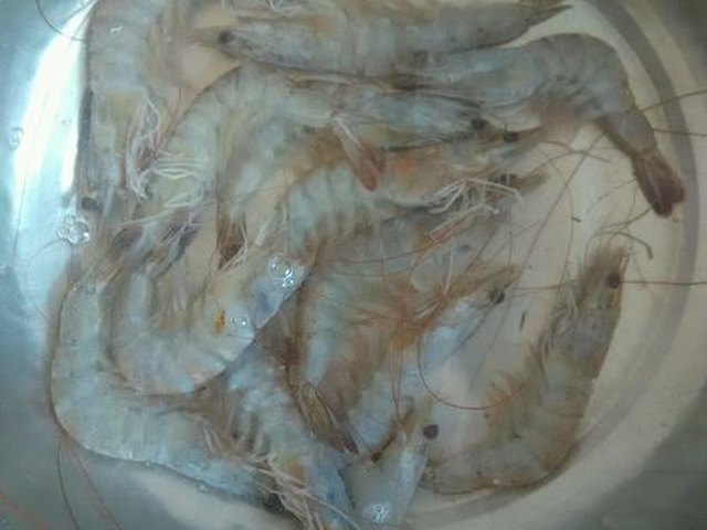 【蒜蓉油菜大虾】步骤1