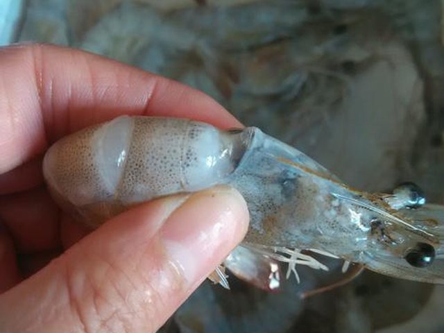 【蒜蓉油菜大虾】步骤2