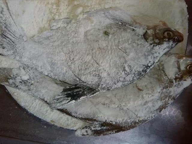 【豆瓣酱烧鲳鱼】步骤3