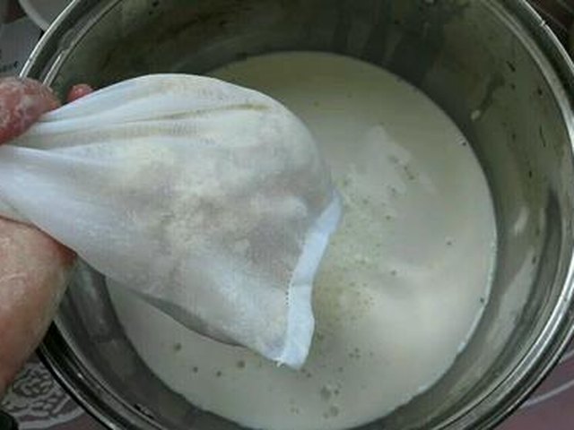 【自制盐卤豆腐】步骤4
