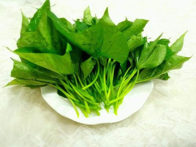 【白灼红薯叶】步骤4