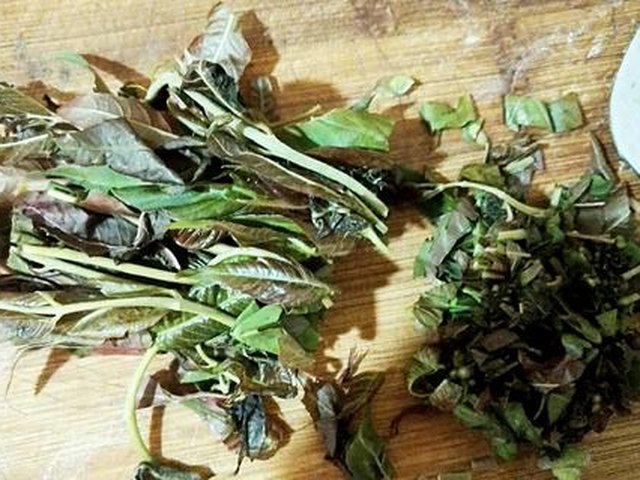 【香椿豆腐】步骤3