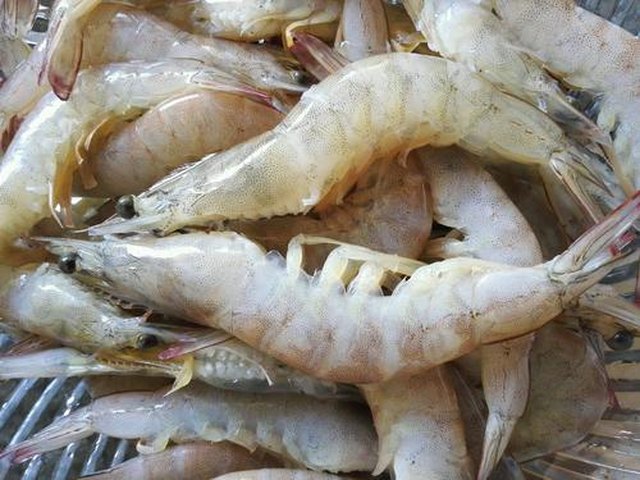【油焖大虾】步骤1