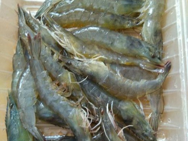 【白灼虾】步骤1