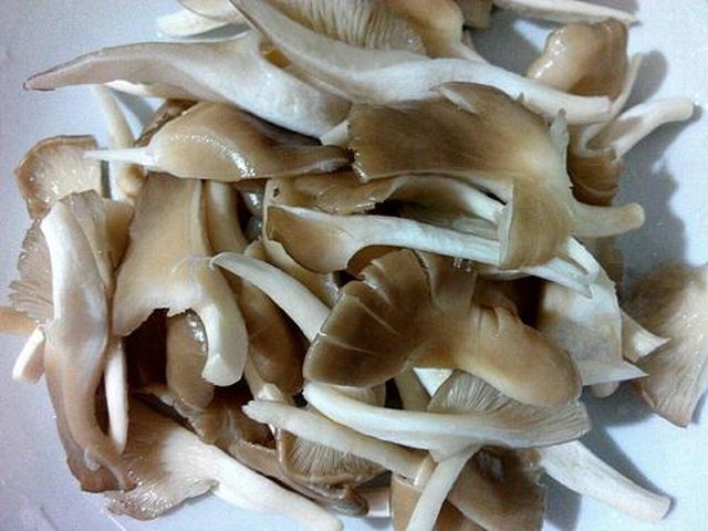 【平菇豆腐汤】步骤1