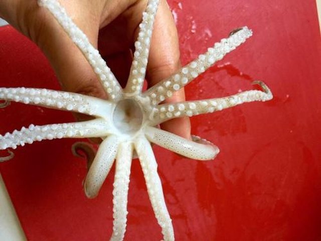 【炒鱿鱼须】步骤3制作图解