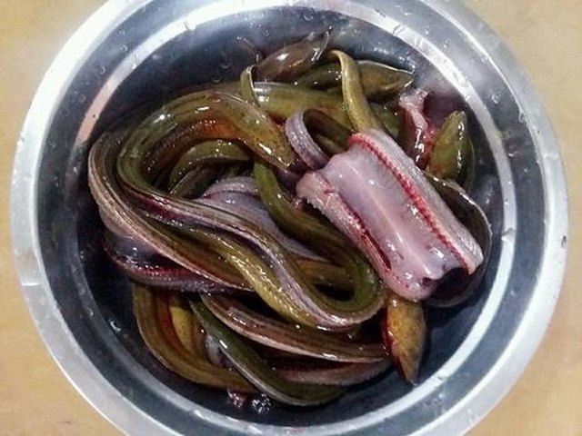 【红烧鳝鱼】步骤2