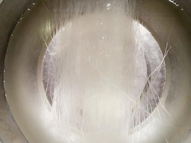 【蚂蚁上树】步骤1