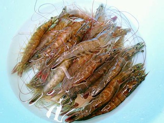 【白灼虾】步骤1