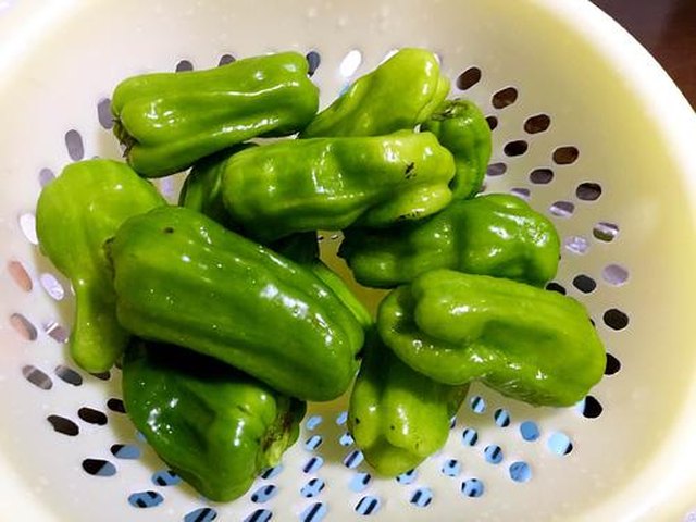 【豆豉煸辣椒】步骤1制作图解