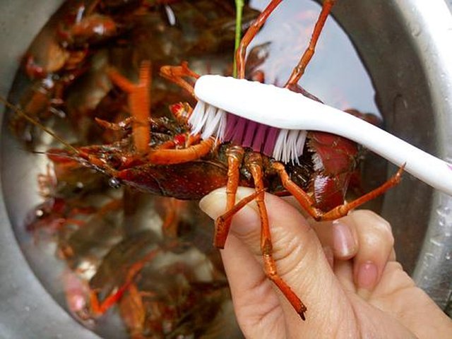 【吮指回味十三香啤酒小龙虾】步骤3