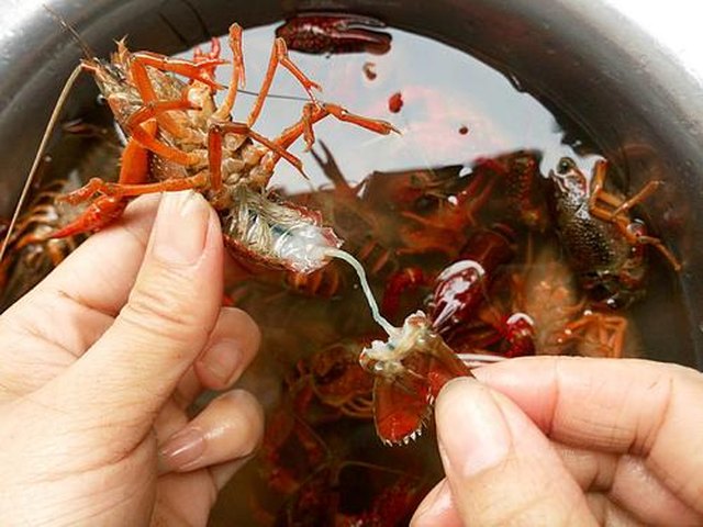 【吮指回味十三香啤酒小龙虾】步骤4
