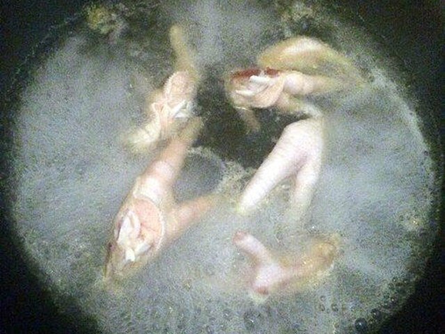 【党参凤爪汤】步骤2