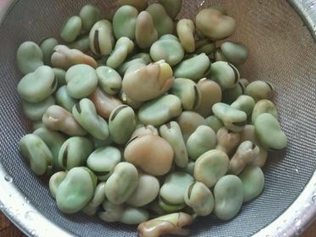 【蚕豆煲】步骤3