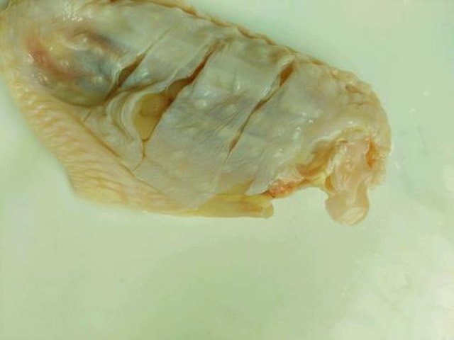 【红烧鸡翅】步骤1制作图解
