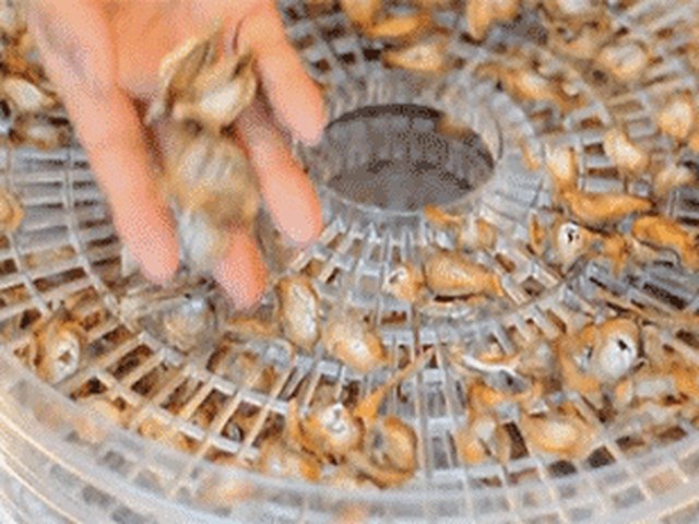 【牛蒡茶】步骤3