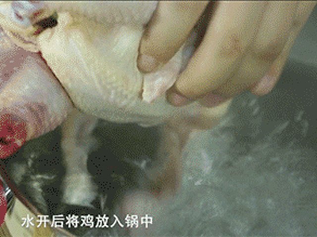 【白斩鸡】步骤4制作图解