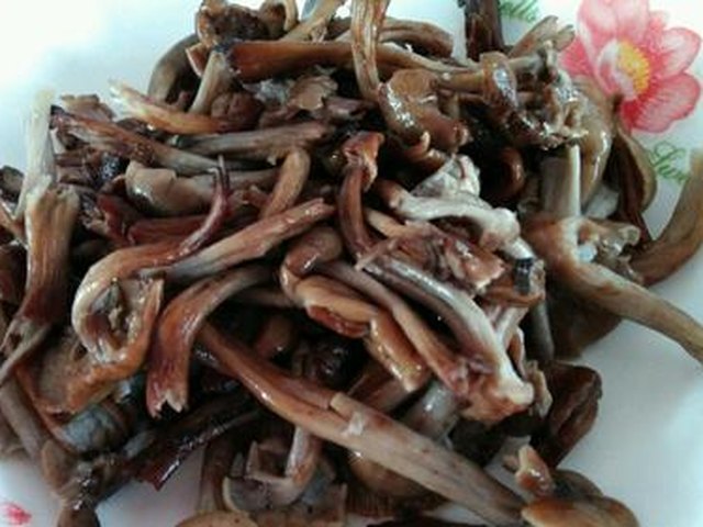 【羊肉蘑菇萝卜汤】步骤3