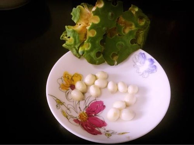 【红枣莲子大麦茶】步骤1