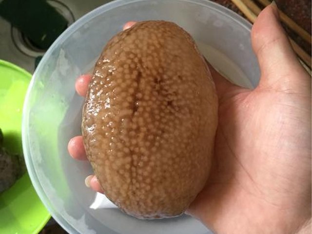 【海参瘦肉粥】步骤1