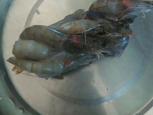 【虾仁瘦肉粥】步骤2