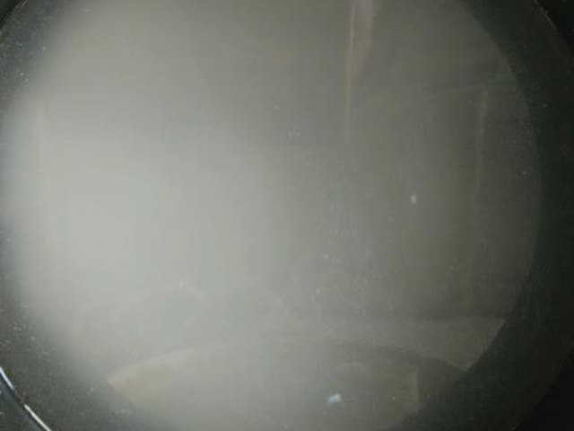 【虾仁瘦肉粥】步骤3