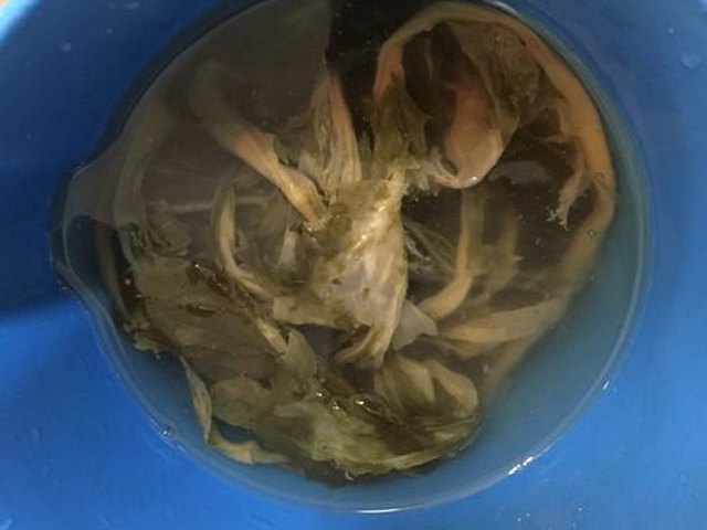【梅菜排骨粥】步骤2