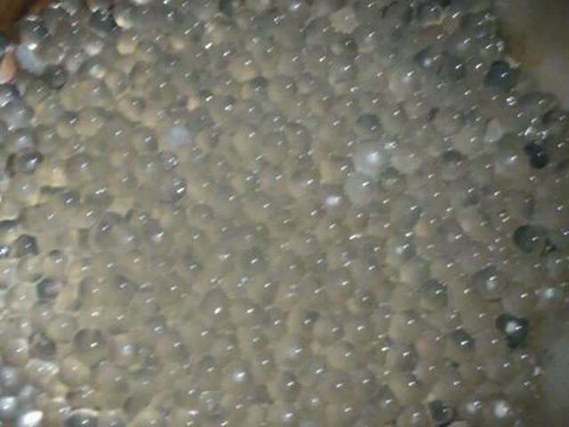 【酸奶苹果西米露】步骤3