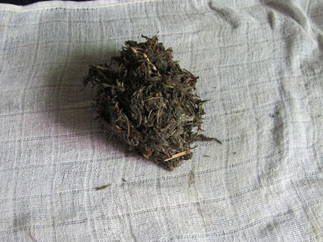 【绵茵陈鲫鱼汤】步骤4